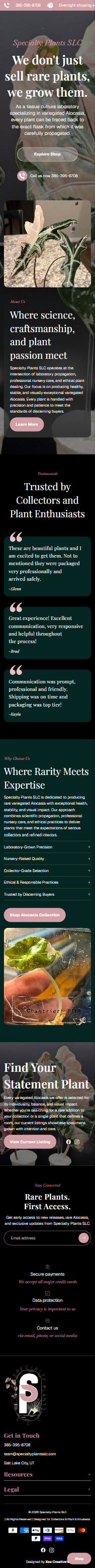 Mobile Portfolio Screenshot